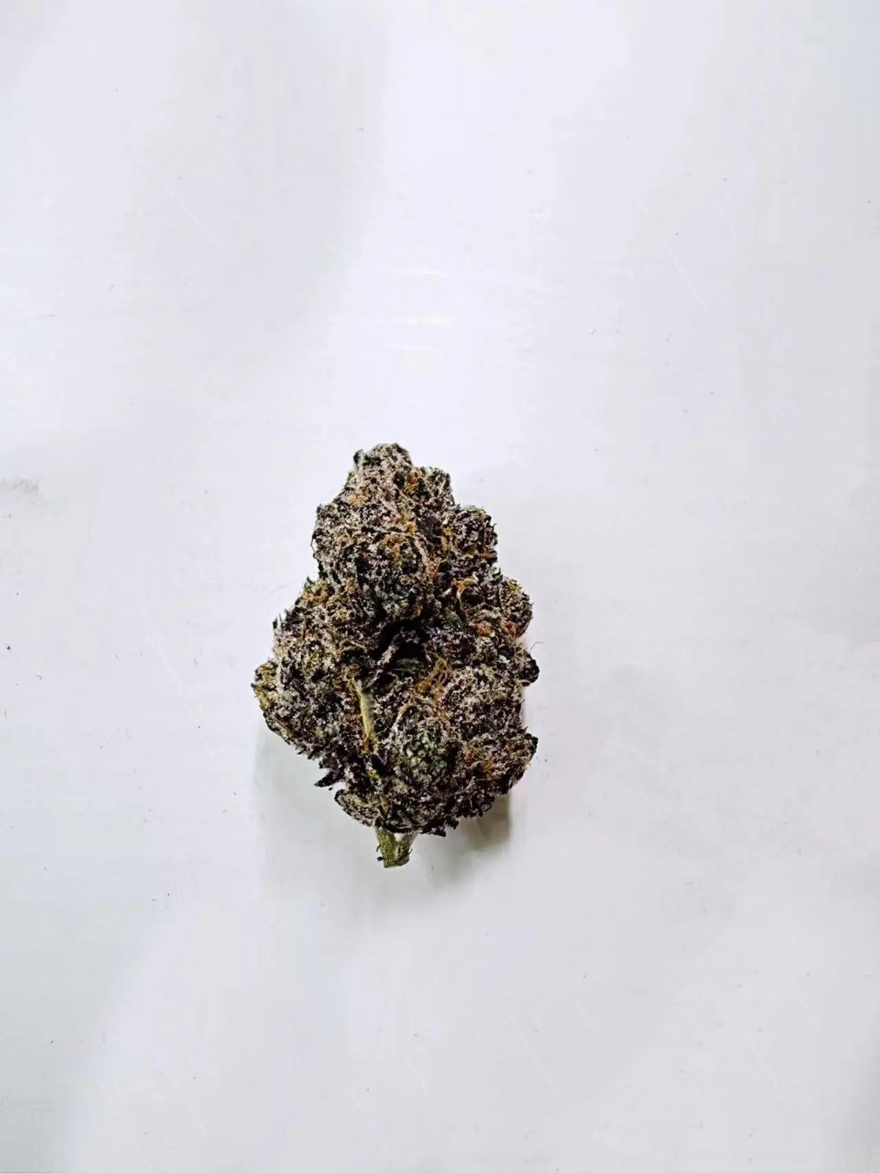 Bubble Gum
