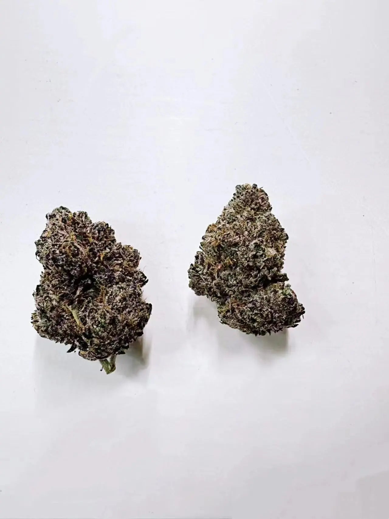Bubble Gum