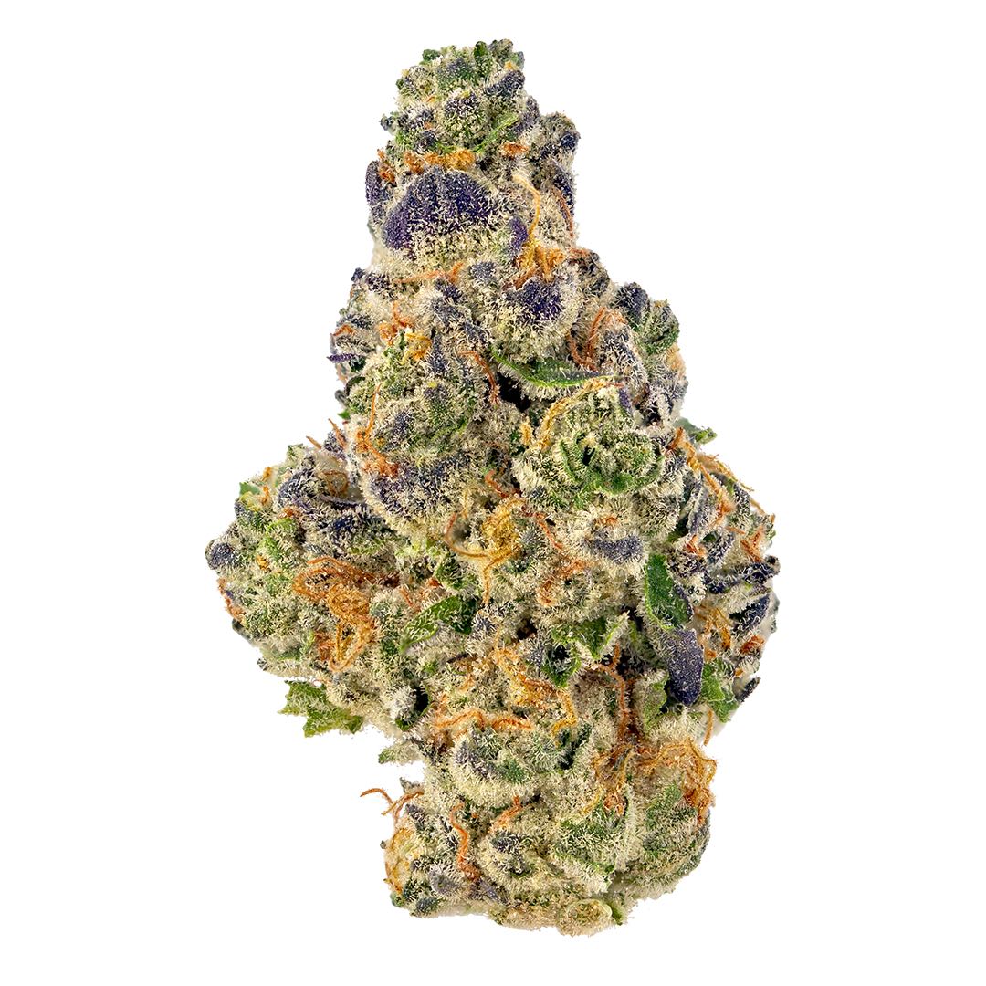 Gelato 47