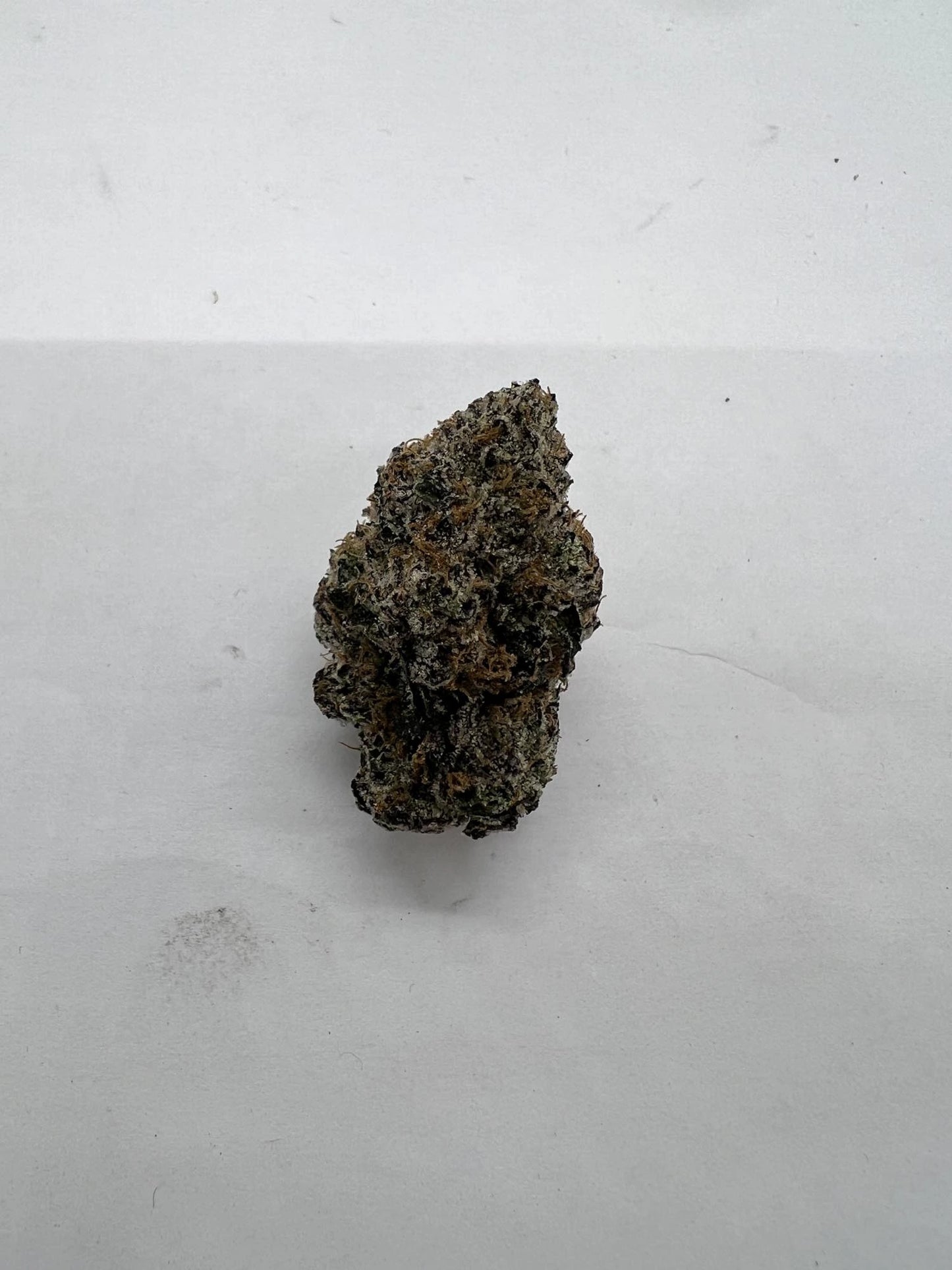 Gelato 47