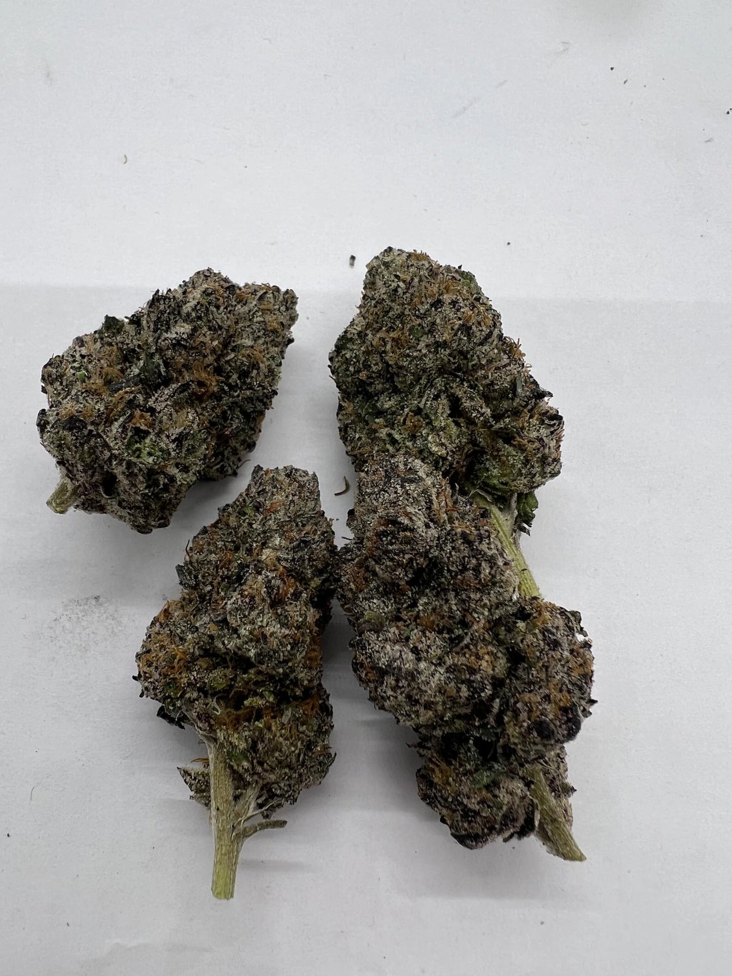 Gelato 47