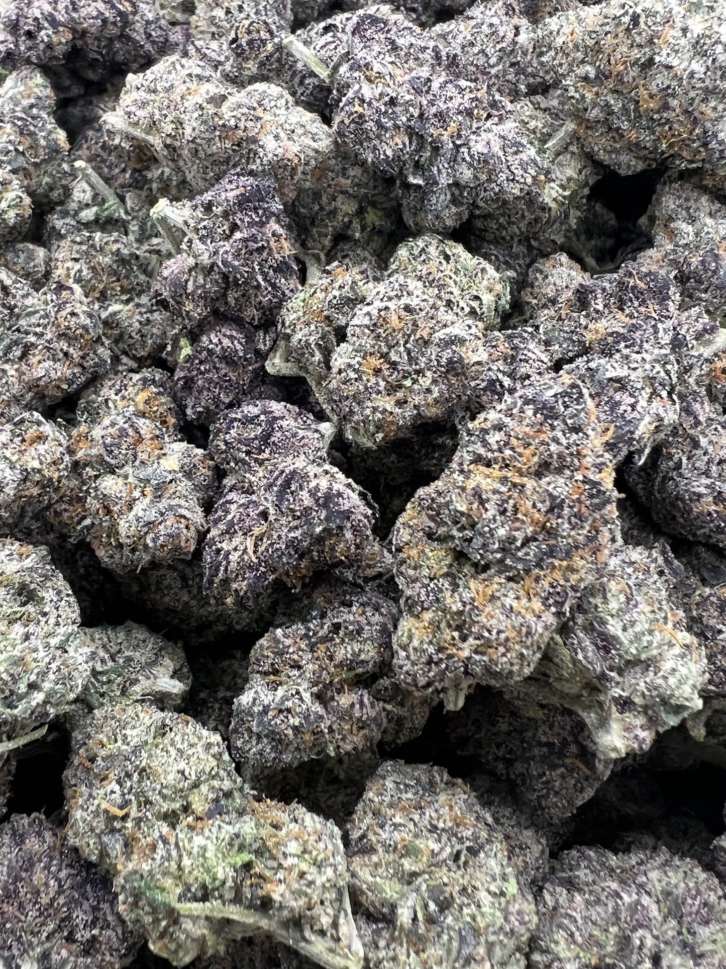 Gelato 47