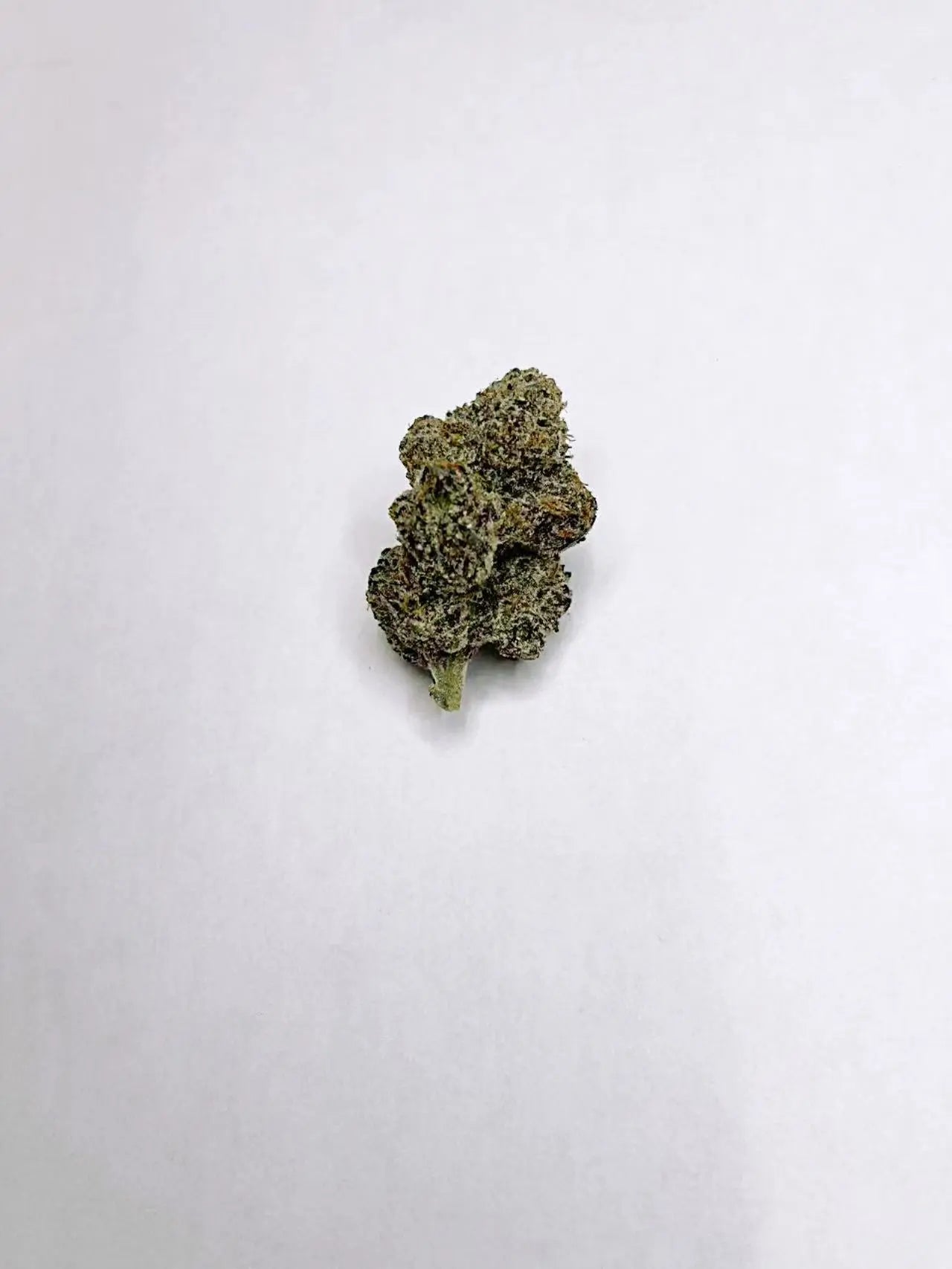 Lemon Dior