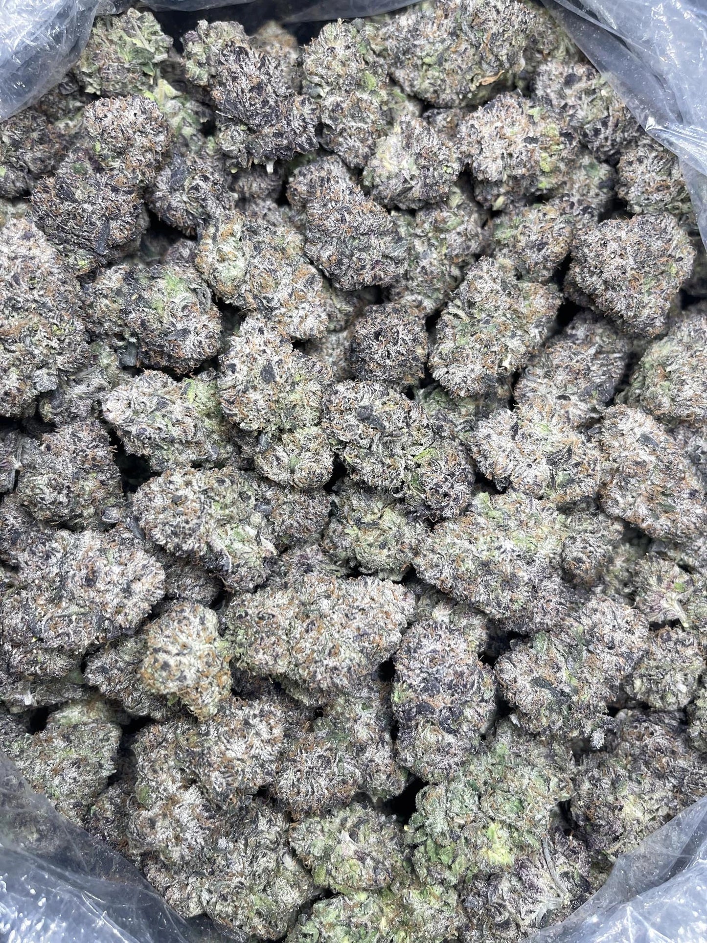 Mochi