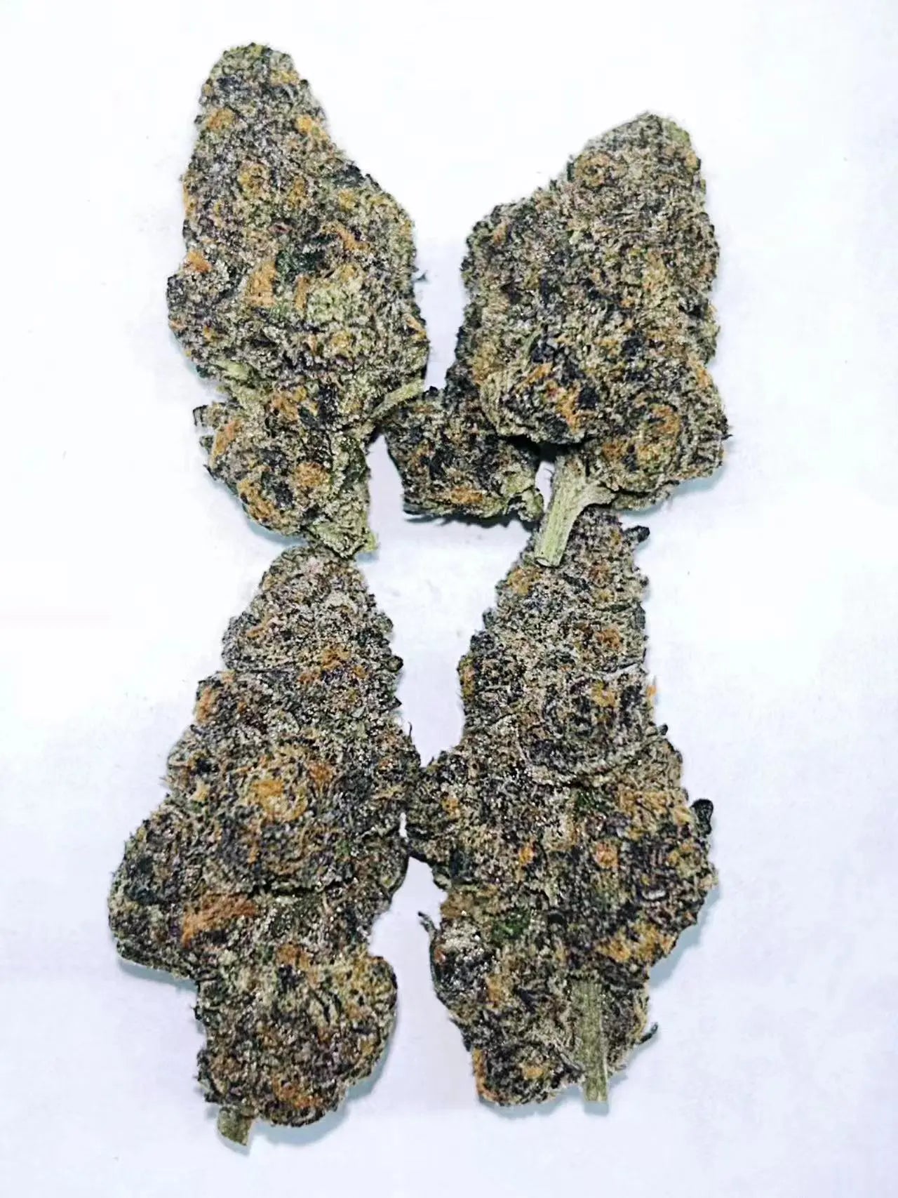 Purple Milk