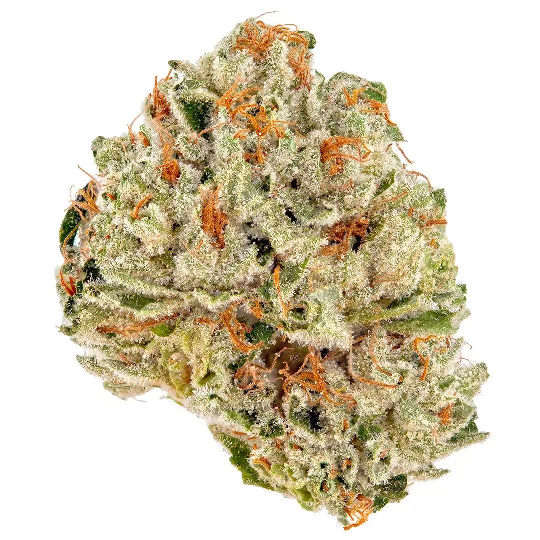Vanilla Gelato