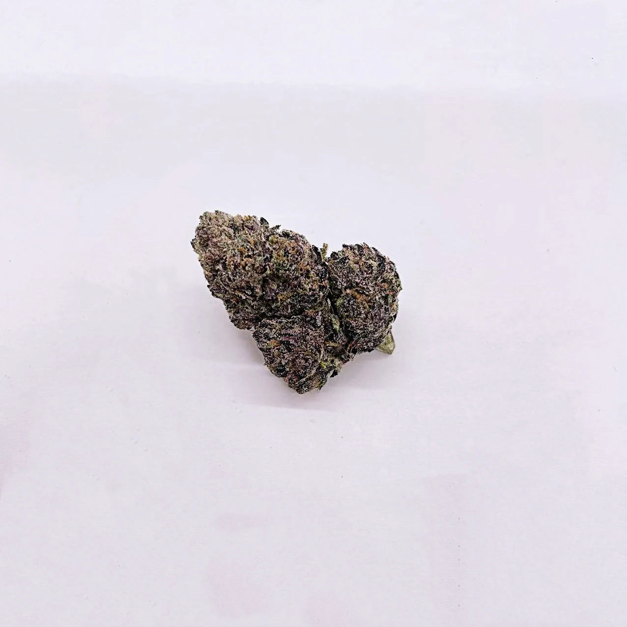 Lemon Cherry Gelato