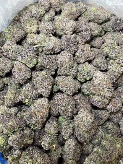 Lemon Dior