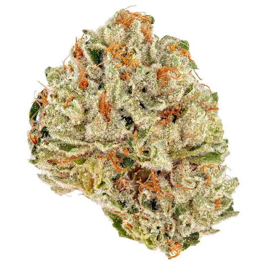 Vanilla Gelato